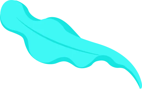 illustrations